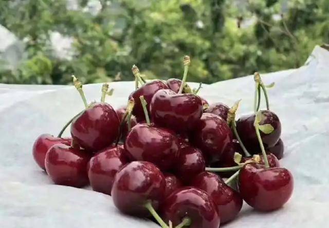樱桃，是血糖“毒药”还是血管“守护神”？常吃究竟好不好？