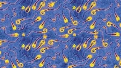 这些事情可以有效提高男性精子质量