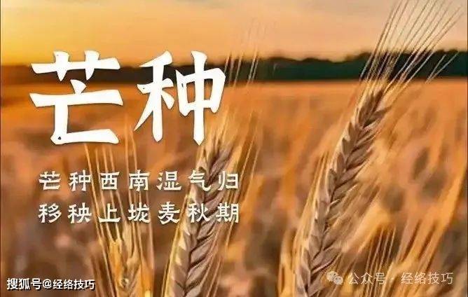 原创            芒种到，身体易沉重？回阳九穴帮你疏通气机