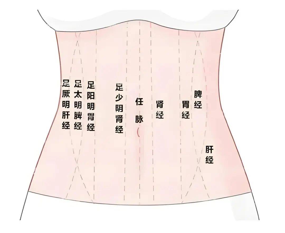 早晚推腹5分钟，赶走“亚健康”和慢性病！