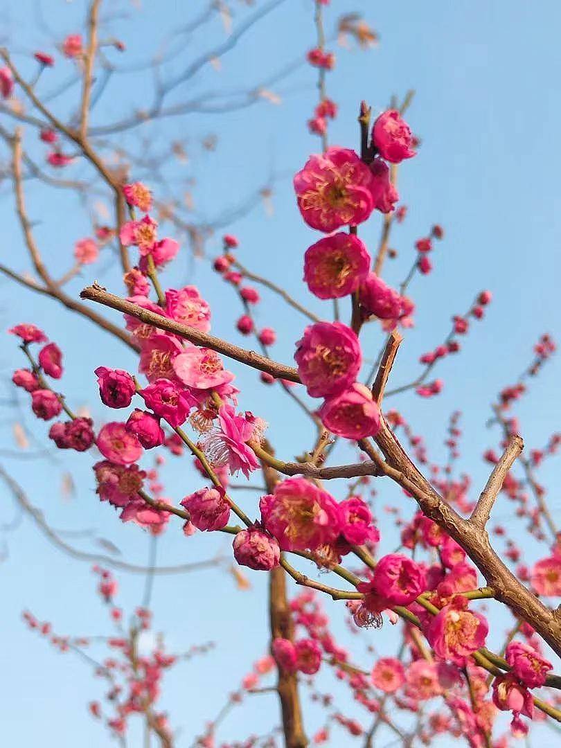 原创            当男人喜欢上你，会不自觉发出这些“信号”，你收到了吗