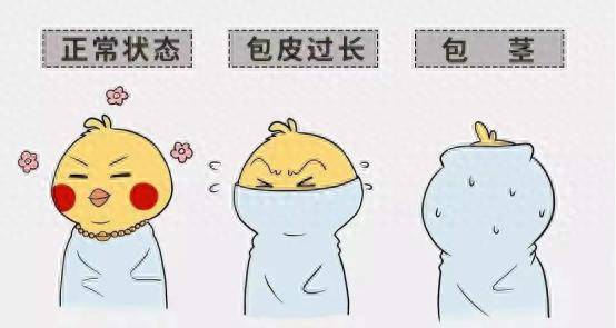 永医科普丨包皮过长那些事：一文读懂危害、判断与应对策略