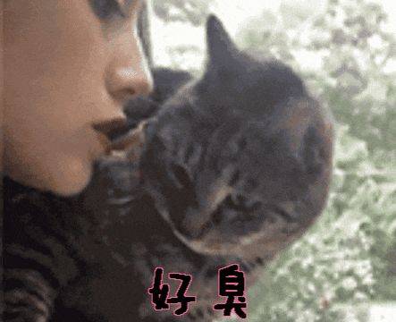 一张嘴就“社死”？天天刷牙漱口还是臭，可能是因为……