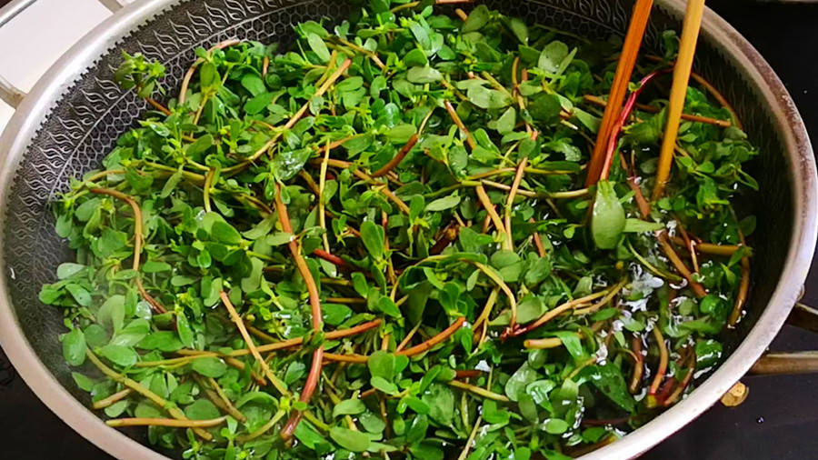 原创            “夏天吃1草，不把医生找”，这1草指的是啥？正当季，不懂吃可惜