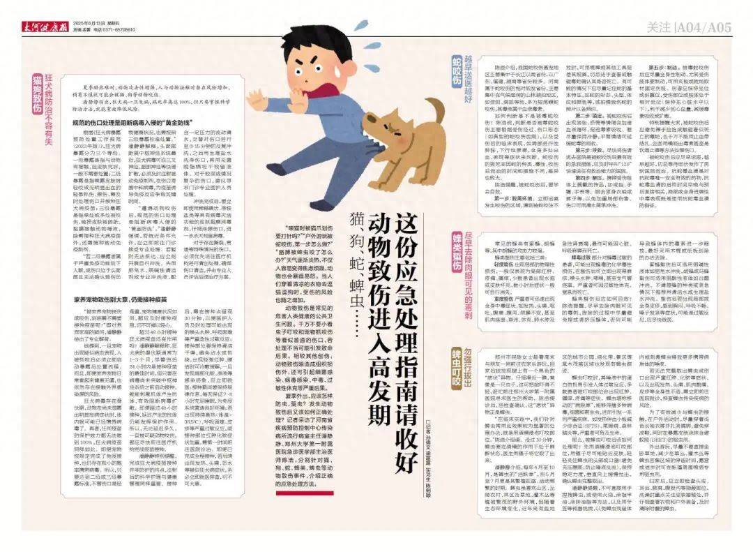 夏季动物伤害高峰期，急救指南收好不谢