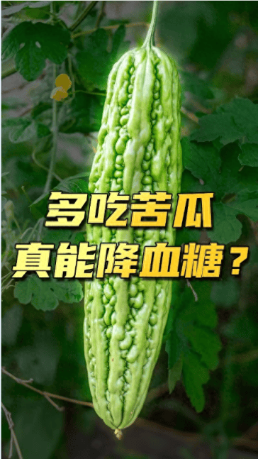 苦瓜真是天然胰岛素？这些真相你该知道