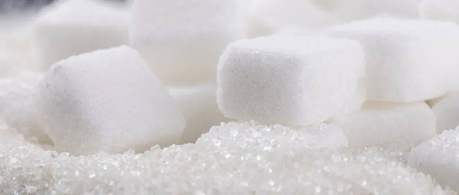 你以为“断碳水”就是不吃主食？你知道如何区别糖的“好坏”吗？