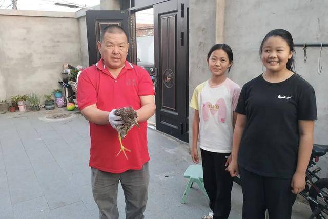 家门口玩耍发现车底有一只鸟，小姐俩的善举拯救国保动物