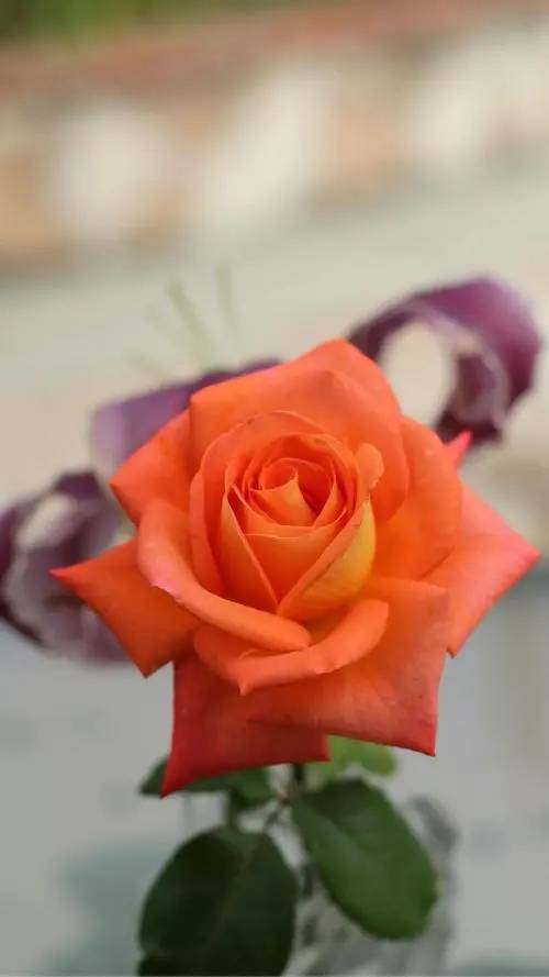 心理调节同样重要。长期处于紧张