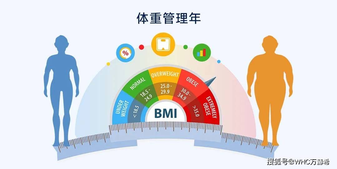 瘦不下来？可能是「脂肪」吃少了