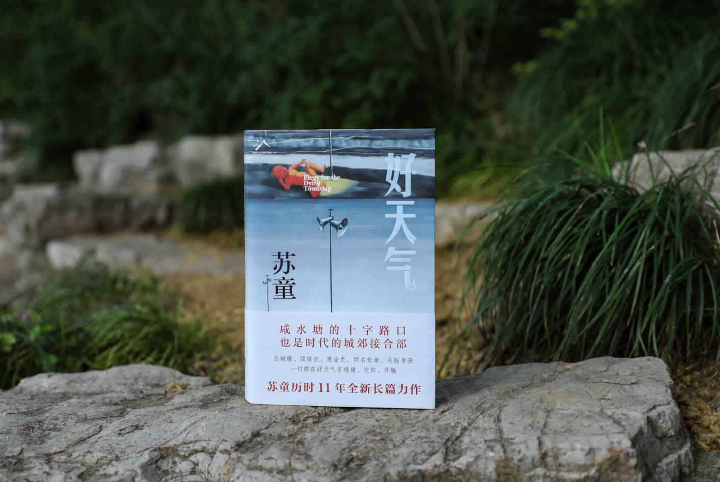 独家专访｜新书上市半月，苏童再谈《好天气》