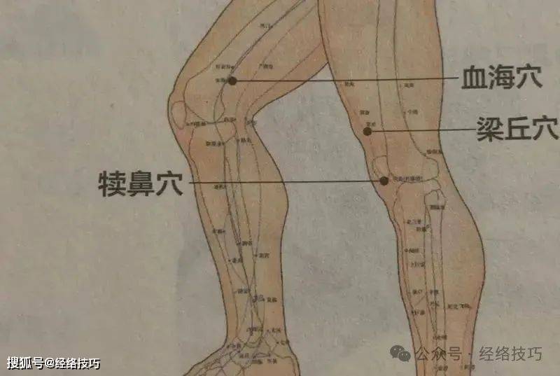 原创            久站久行膝盖酸胀？每天三分钟按压“三角固膝穴”来缓解