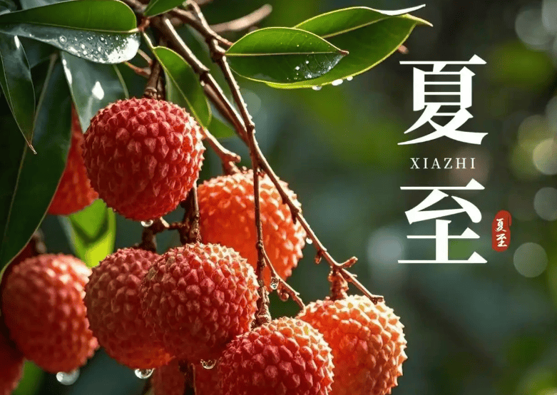 原创            今日夏至，提醒大家：少吃苦瓜和豆腐，多吃4样，清热解暑过夏天