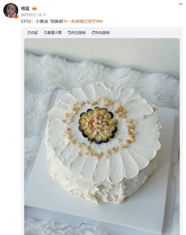 杨幂章子怡约上海蛋糕局 二人合作新片将上映