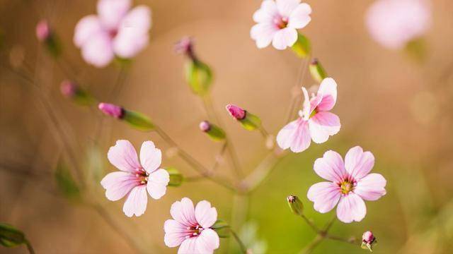 男人的角度告诉你，他们口中的爱情究竟是怎样的