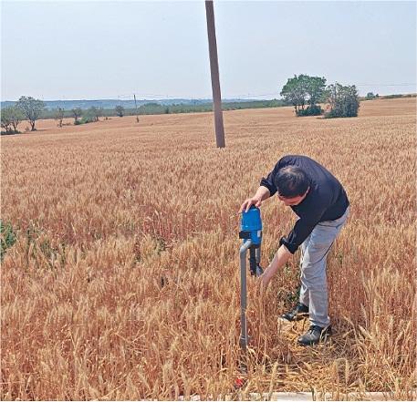 小麦第一省闯旱关