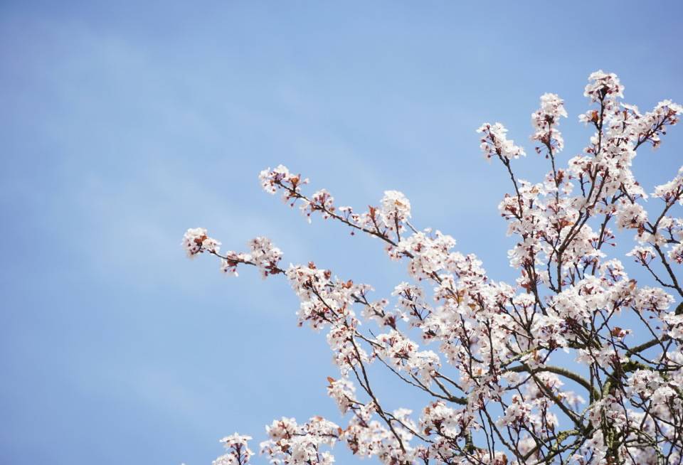 原创            男朋友让我卖掉婚房，一起重新买房，我乐了：我是恋爱脑，不是傻