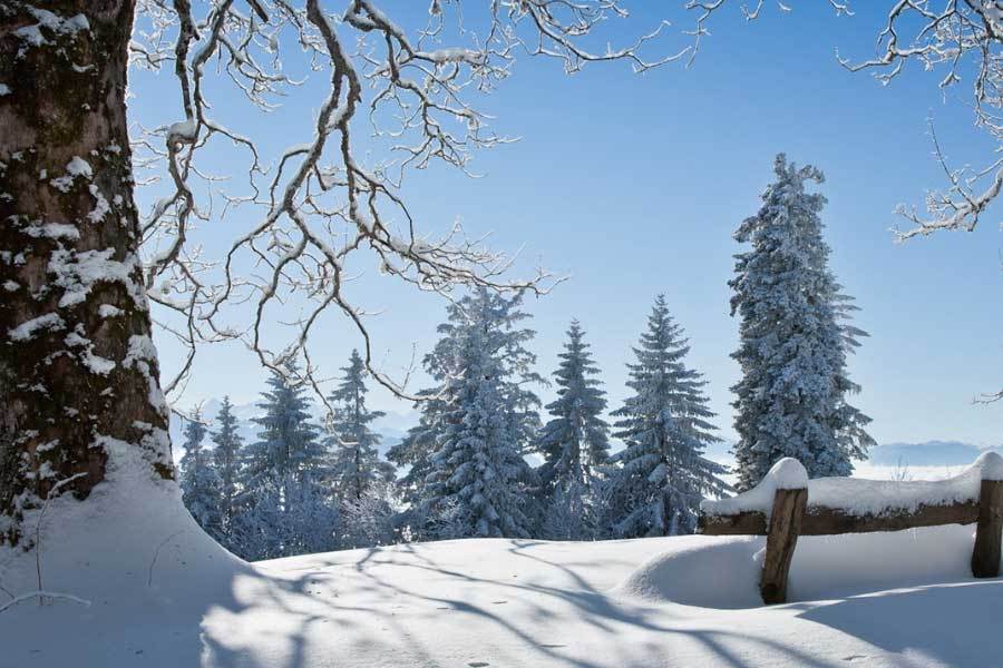 服务器安全审计工具开发：日志解析引擎