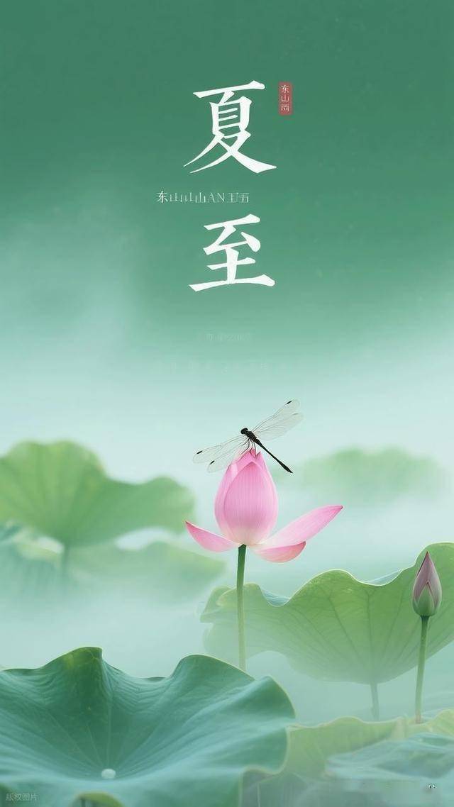 后天夏至，建议：多吃豆子，坚持一周三次，很多人不知道有啥用