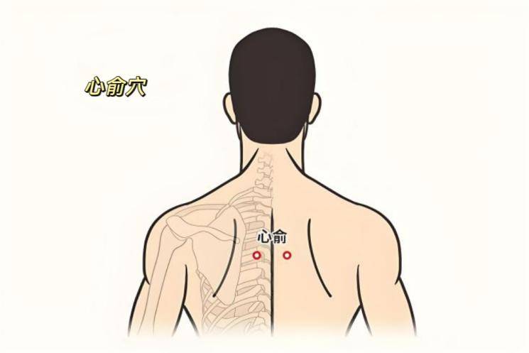 夏至节气中医养生