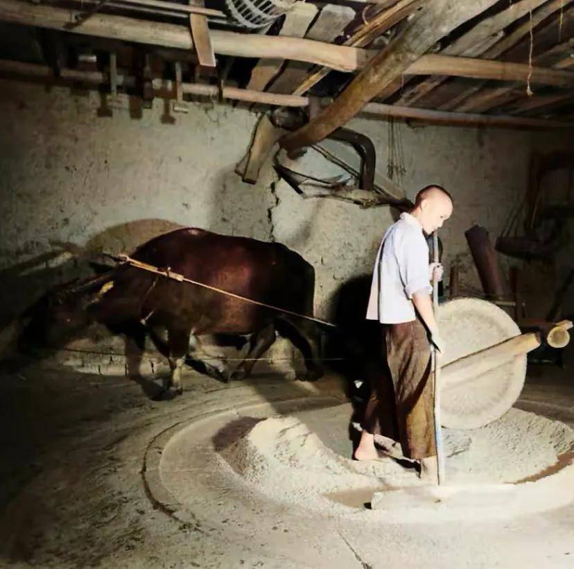 原创            老照片：1940年四川成都，当时乡绅百姓的生活