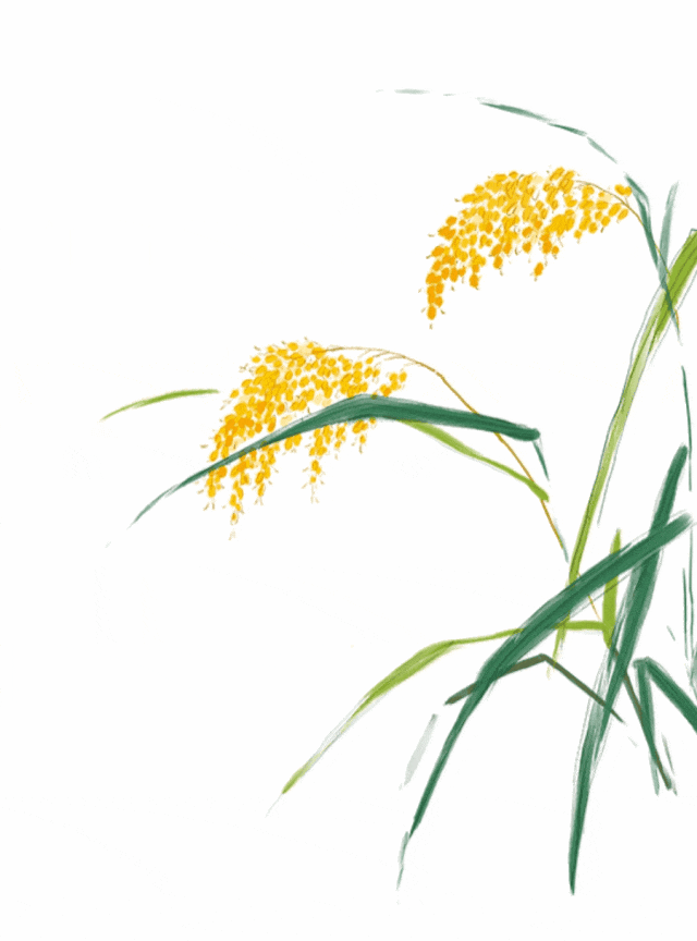 今日芒种，阳气逐渐强盛、阴气内藏，这样养生让身体“忙”而不乱