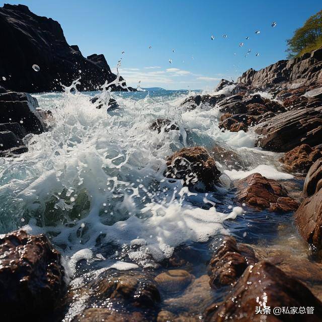 运动减肥的最佳时间