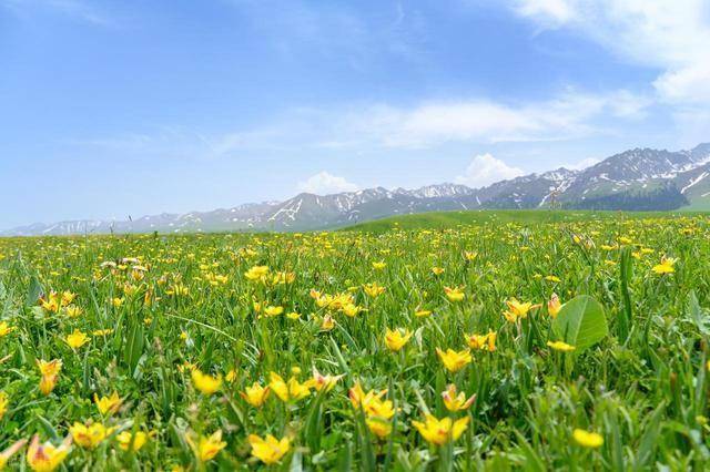 男人变心，不爱了，不是和你吵架，不是不为你花钱，是做以下事