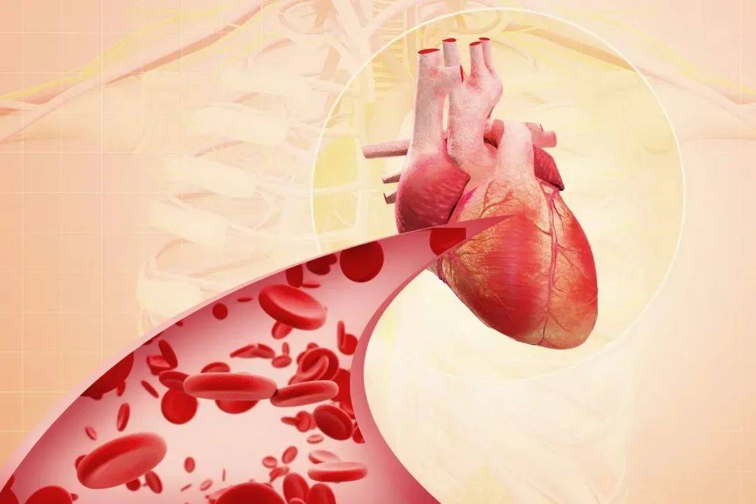 人工瓣膜“减寿”，竟是龋齿惹的祸