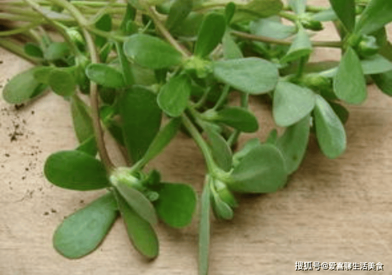 原创            6月使劲吃它，一消炎，二通便，三祛湿，四强免疫，3种做法特开胃！