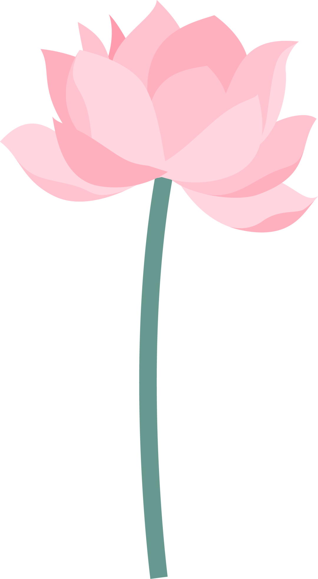 健康促进丨夏至——饮食养生