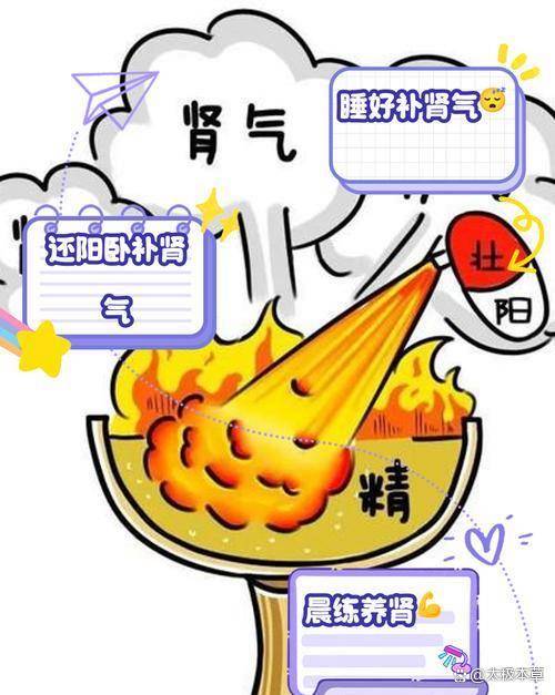 原创            中医：早起老拉肚子要补肾，助消化要分食物