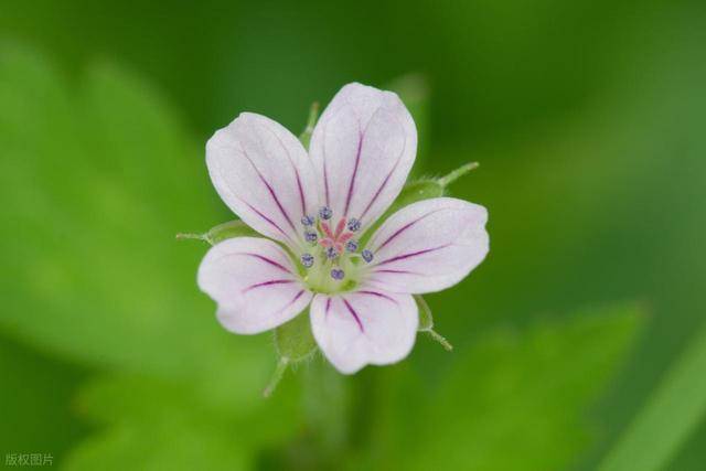 想让男人长久对你保持热情，你要做好一件事