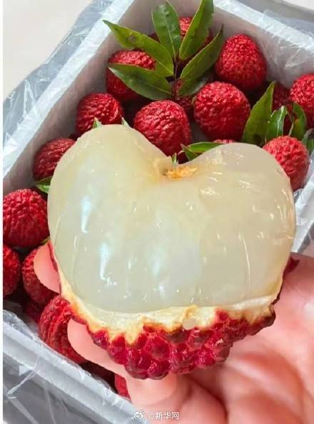 科学吃荔枝 避开荔枝病