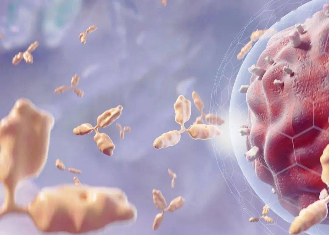 癌症康复的核心，“它”大于一切治疗！