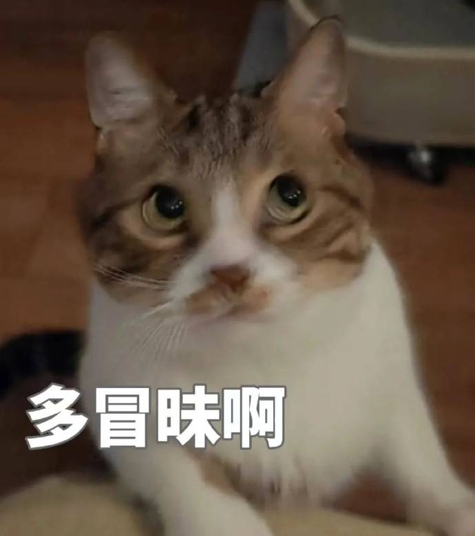 百万粉网红殷世航突然自曝，靠订婚剧本赚了几千万？