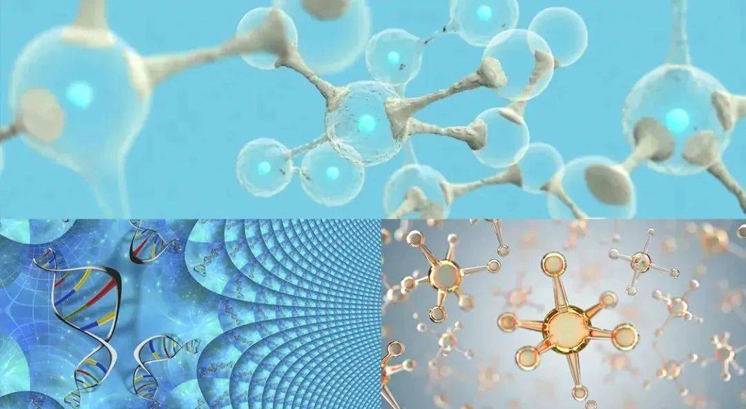 相比传统医美抗衰，干细胞疗法更系统、更持久、更安全