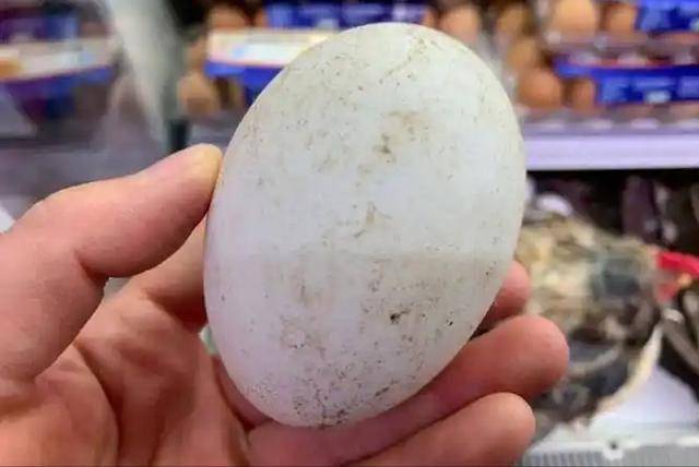 鹅蛋又火了！医生发现：适量食用或许有3种健康益处，别小瞧了