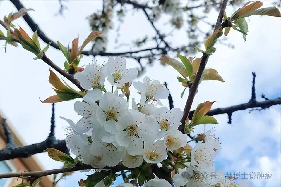 化疗副作用让她手脚溃烂发臭？