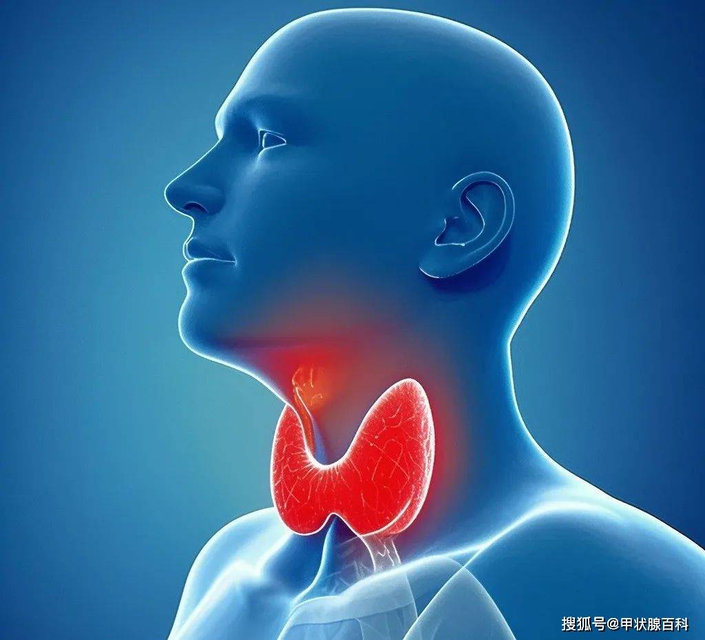 南昌市第五医院甲状腺科：亢奋怕热、脾气大~可能是甲亢！