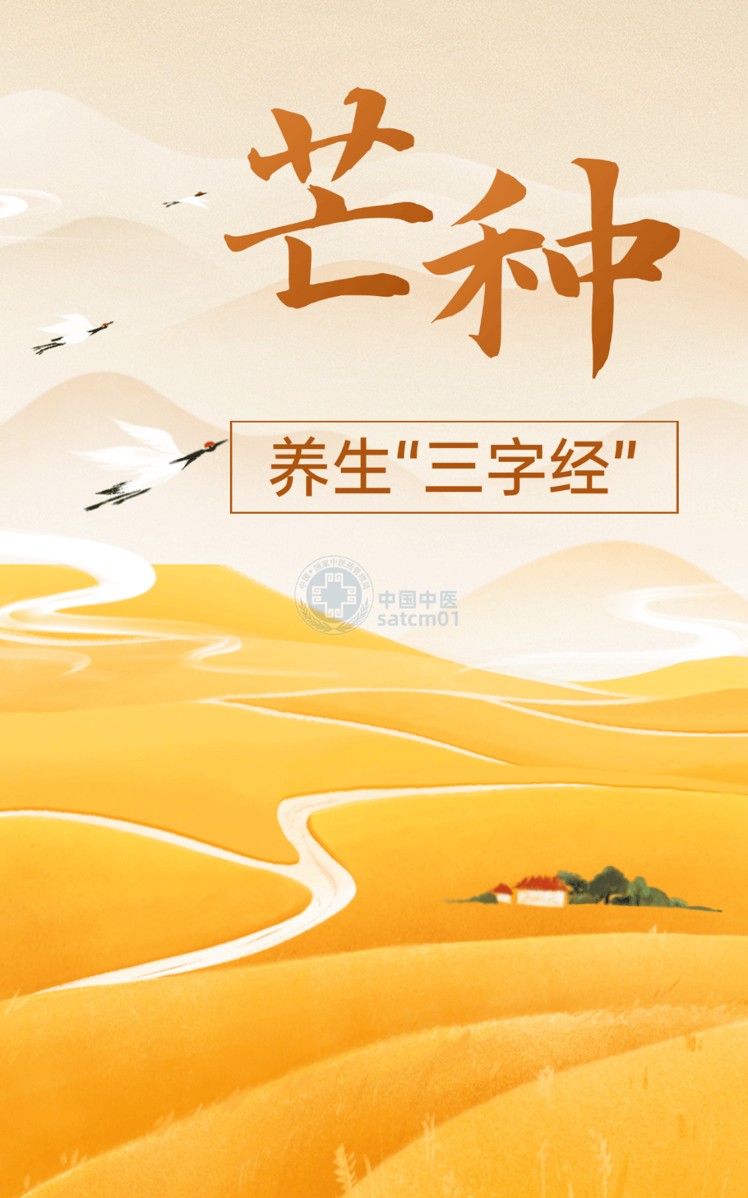 【健康科普】今日芒种，收下这份养生“三字经”，使气机宣畅、通泄自如