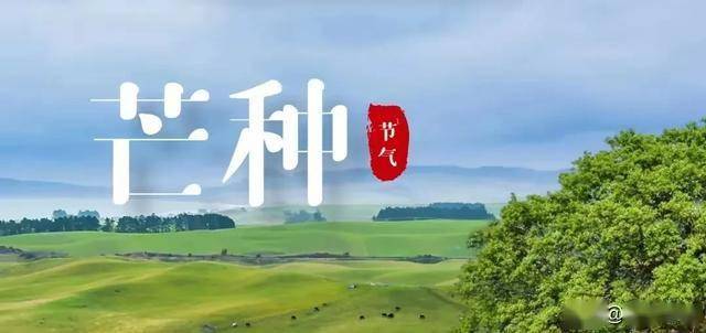 明天芒种，建议中老年：1不起、2不久、3不吃、4不宜，别大意了！