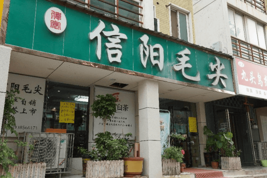 河南唯一！81.78亿元的信阳毛尖，凭什么成为“国家队”重点培育对象？