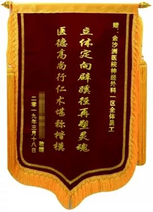 医者妙手重塑少年难治精神疾病的“灵魂”