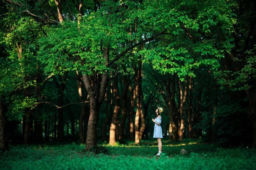 夏至，三忌、三宜、三秘诀，过好盛夏15天！