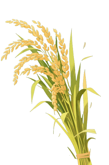 芒种时节养脾胃，饮食起居有讲究