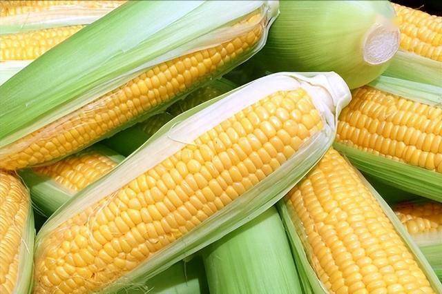 玉米是尿酸“天然克星”？医生提醒：想控尿酸，夏季4种蔬菜多吃