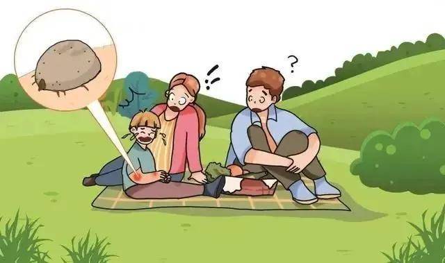 辛布尼亚病毒IgG/IgM抗体检测试剂盒