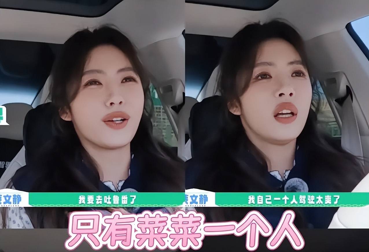 原创            因长相太美，成校花专业户，出道16年，她却凭发疯出圈了