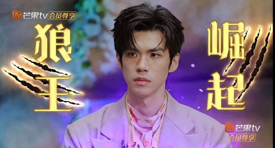 《森林进化论》，“脑综界的口碑之王”如何炼成？